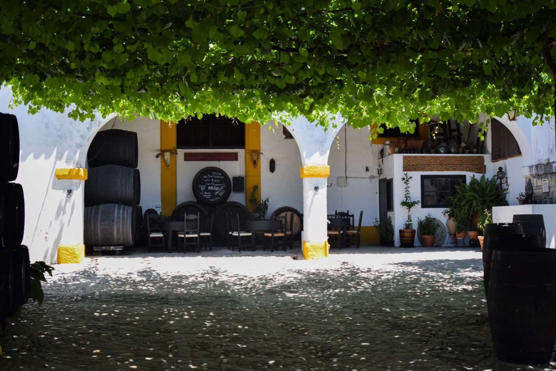 Cata de vinos en bodega tradicional de Jerez